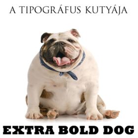Humoros szójáték Homolya Gábor