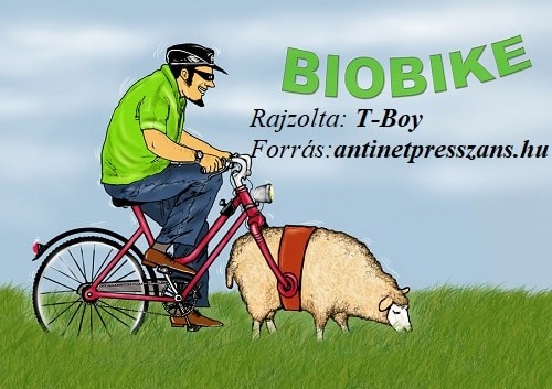 Állatos karikatúra T-Boy (Gaál Tibor)