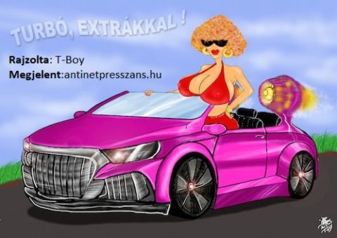 Vasárnapi karikatúra T-Boy (Gaál Tibor),