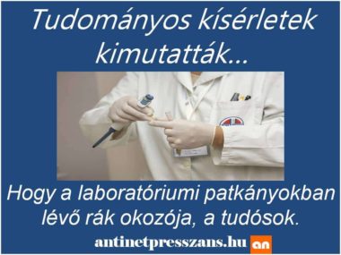 Laboratóriumi humor
