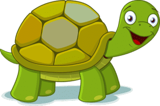 Humoros teknős ismertető