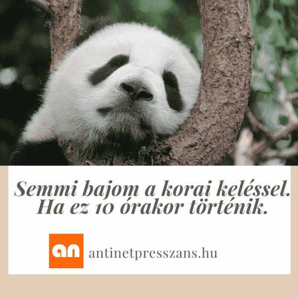 Vicces korai kelés humor