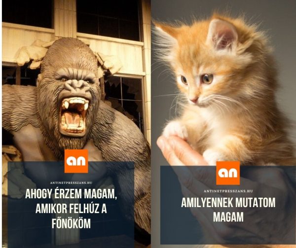Vicces munkahelyi morál humor