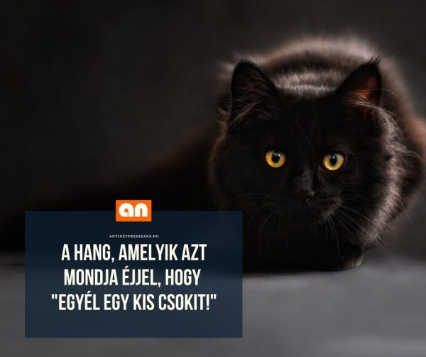 Humoros nassolás poén