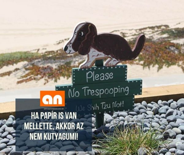 Kutyagumi humor