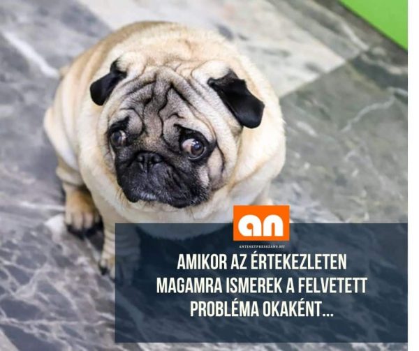 Vicces értekezlet