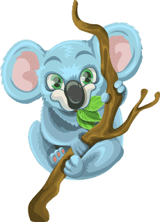 Humor koala ismertető