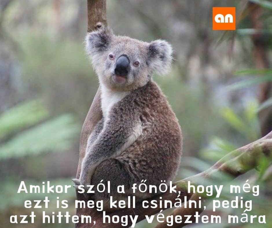 Vicces túlóra humor
