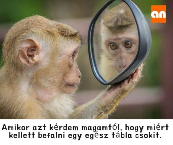 Humoros ételbűnözés mém