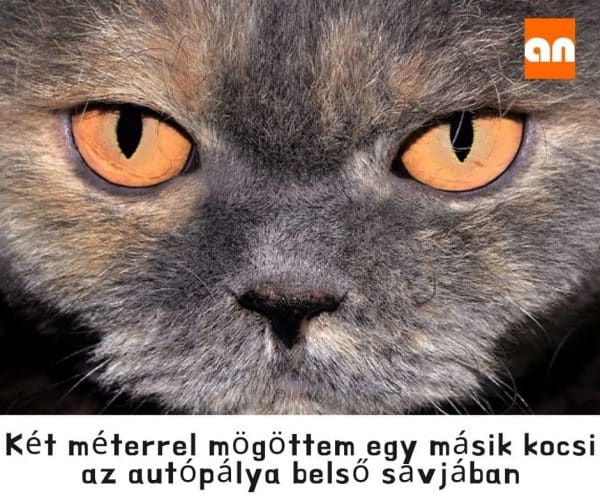 Vicces autópálya poén
