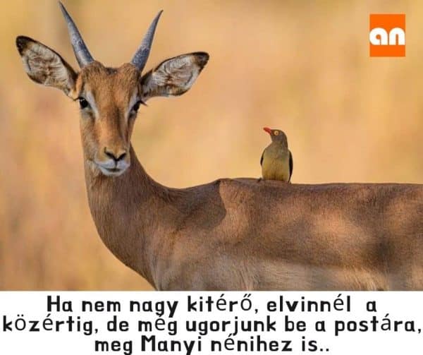 Vicces szívességkérés