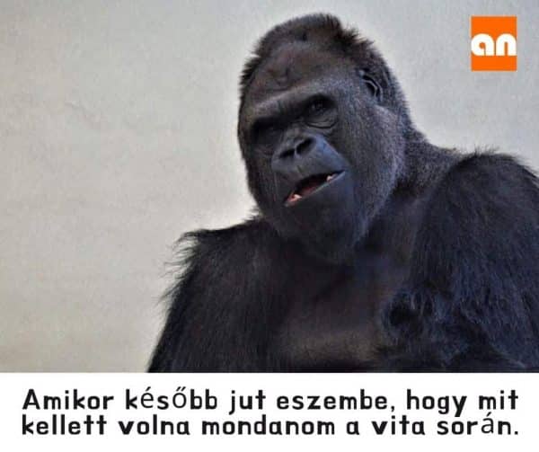 Vicces vita érvek