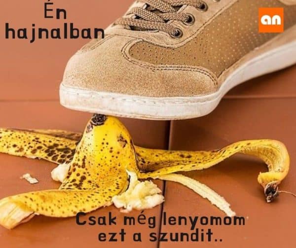 Vicces hajnali ébresztés