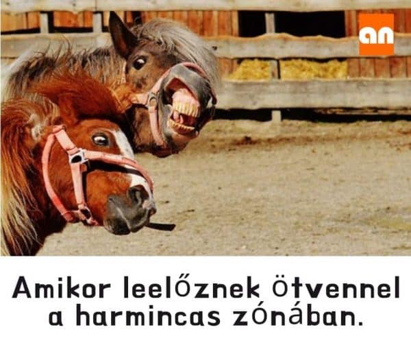 Humoros pályán vezetés