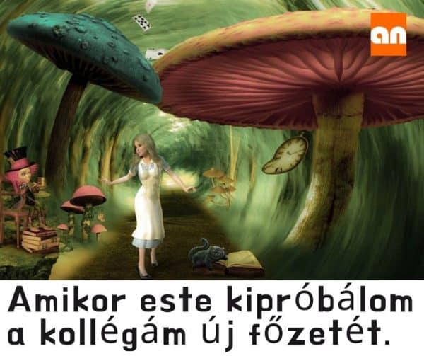 Pálinka hatás humor