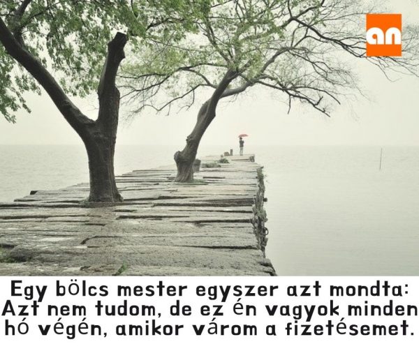 Vicces humoros motivációs idézet