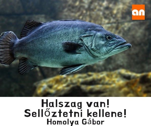 Halas humor