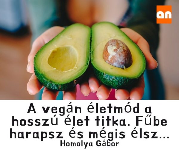 vegán étrend humor