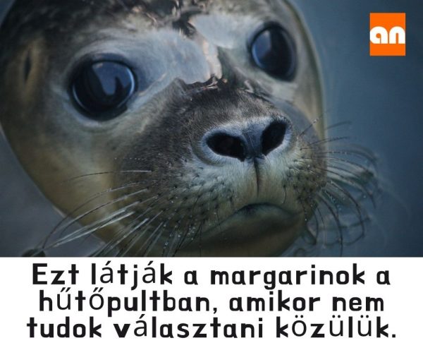 Margarinos humor
