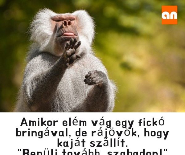 Ételfutár poén