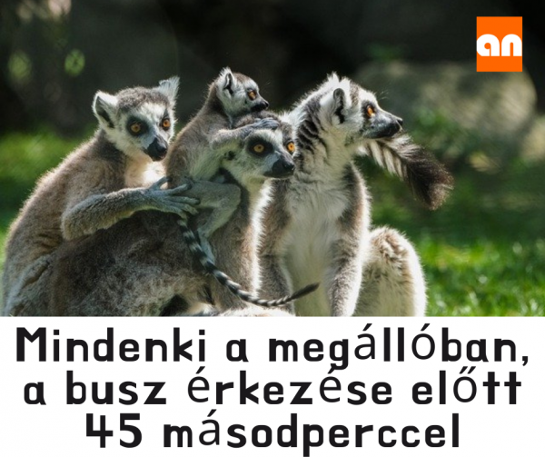 Megálló humor