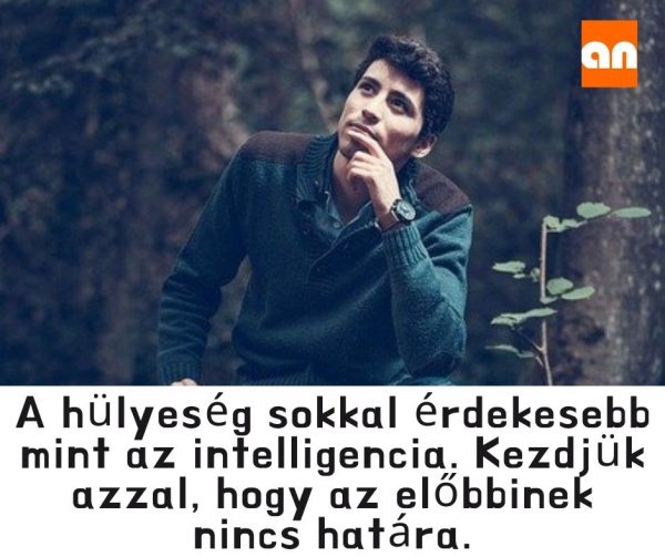 Vicces hülyeség humor