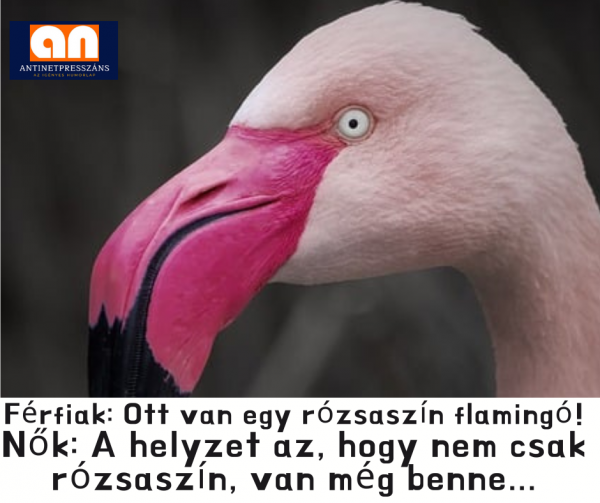 Női színlátás humor