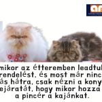 Vicces éttermi humor